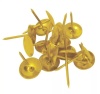 Гвозди декоративные с широкой шляпкой 1*16 мм (золото)