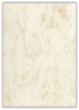 Панель пластиковая "Олимпия" Венициано белая кремовая  2700*250*10 мм 1/14